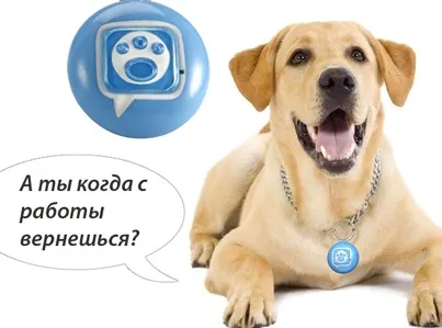 Підстилка для собаки в машину, собака в машину (собаки) Підстилка для собаки в машину, собака в машину