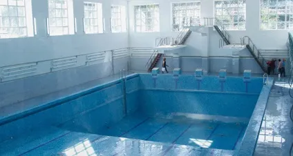 Чому закривають ринок дийкан (екотехінспекція) Чому закривають ринок дийкан