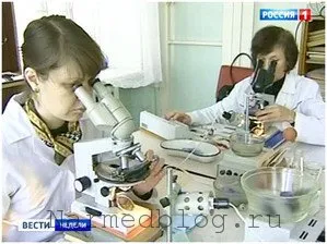 Синьогнійна паличка - опис, шляхи передачі