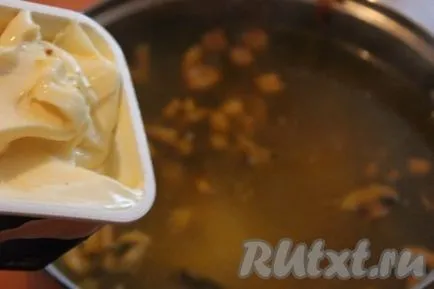 Sajt leves csirkével és gombával - recept fotókkal