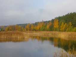 Az esszé a témája az őszi hangok