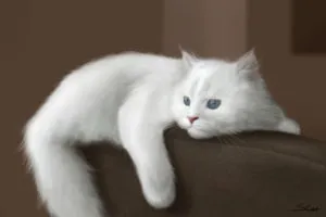 Álom értelmezése nagy fehér macska nő lány álma, hogy mit álom