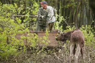 професионални съвети какво да правите, ако сте се изгубили - български вестник