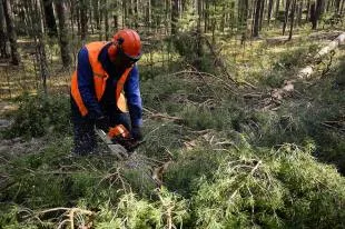 szakmai tanácsot, hogy mit kell tennie, ha eltéved - magyar újság