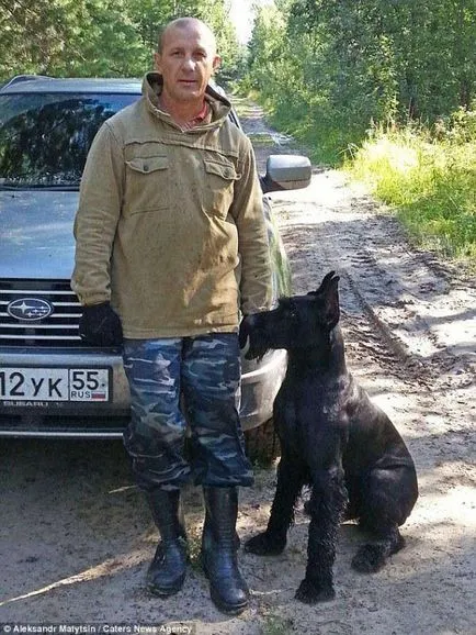 Куче pomogaka Омск област