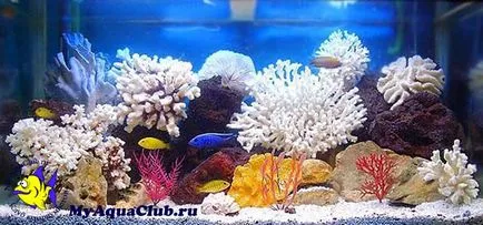 Стилі оформлення акваріумів