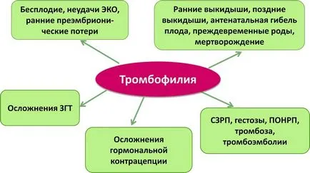 Статистика еко първи път