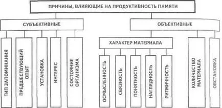 cauze de conducere care afectează productivitatea memoriei - studopediya