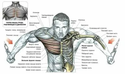 Exercitarea „crossover de“ mână de amestecare într-un crossover pe mușchii pectorali în timp ce în picioare sau culcat