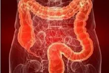 Uzi tractului gastrointestinal (GIT) preparare