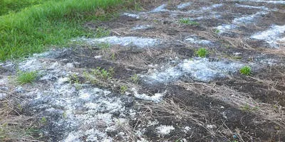 Допоможіть порадою що можна зробити із залишками згарища відповіді експертів (згарища) Допоможіть порадою що можна зробити із залишками згарища відповіді експертів