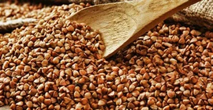 Користь і шкода гречки для здоров'я, вживання натщесерце і з кефіром, особливості (користь) Користь і шкода гречки для здоров'я, вживання натщесерце і з кефіром, особливості