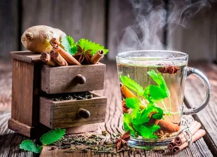 Користь монастирського чаю, лікування, протипоказання і рецепт! Тільки з натуральних і природних (тільки) Користь монастирського чаю, лікування, протипоказання і рецепт! Тільки з натуральних і природних