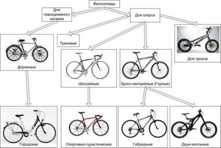 Tipuri de biciclete, ciclism