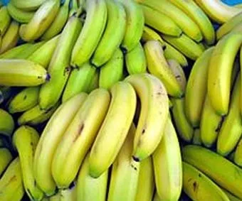 Хладилни камери - камера опушване на банани