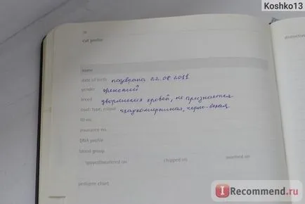 Notebook moleskine szenvedélyek macskák folyóirat