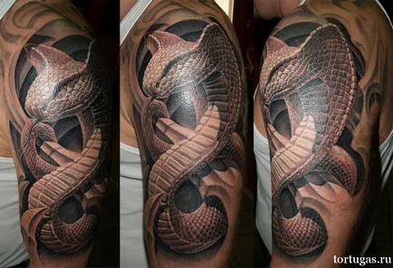 Înțeles tatuaj valoare cobră cobră tatuaj, tatuaje cobra atelier de tatuaje - Tortuga - 24 de ore