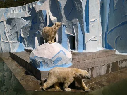 Zoo, Новосибирск, България описание, снимки, което е на картата, как да се получи