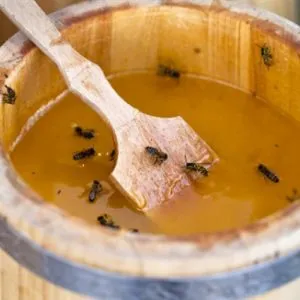 10 A nem várt előnyös tulajdonságait mézes mustár minden bajok