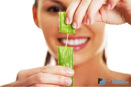 Aloe Vera arc-