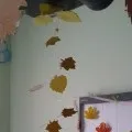 Кухарський ковпак »