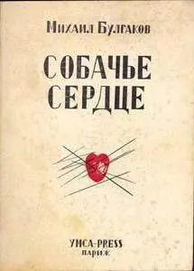 Повість собаче серце історія створення та доля (створення) Повість собаче серце історія створення та доля