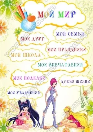 Портфоліо винкс