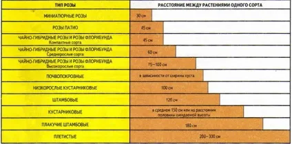 Посадка троянд, вибір місця, підготовка грунту, час посадки, підготовка троянд до посадки