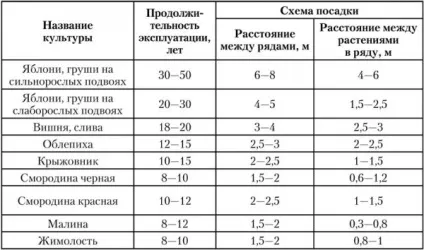 Посадка саджанців плодових дерев навесні - практичні поради (посадка) Посадка саджанців плодових дерев навесні - практичні поради