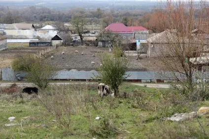 Ганьба на обидва ваші доми