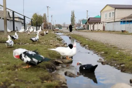 Ганьба на обидва ваші доми