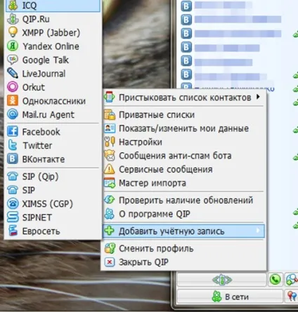 Правильна установка icq на прикладі qip (як встановити та налаштувати icq правильно на прикладі qip) Правильна установка icq на прикладі qip