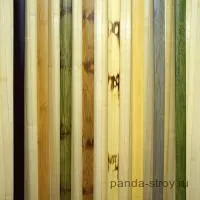 Bamboo dekoratív kivitelek