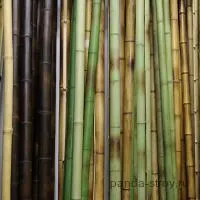 Bamboo dekoratív kivitelek