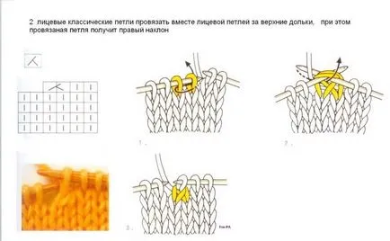 Baktus игли начинаещи (описание)