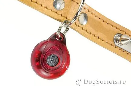 против акари цена Keychain куче, мнения