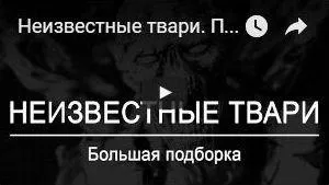 Какво призраците и полтъргайсти от живо общуване, в търсене на паранормалното