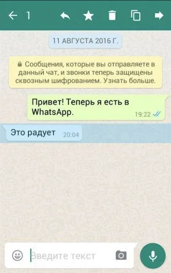 Какви са кърлежи в WhatsApp (една, две, звезди)