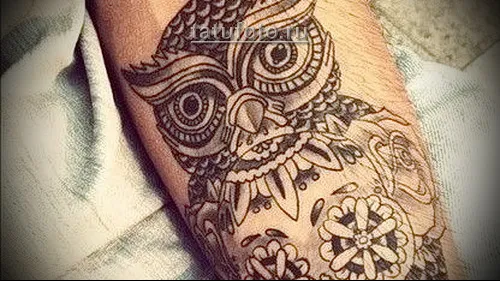 Mit jelent a bagoly tetoválás a karján - az értékek és a vázlatok, a mindennapi élet