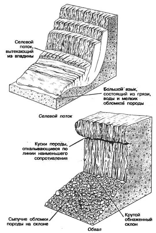 Какво е селскостопанска описание, външен вид, заплаха