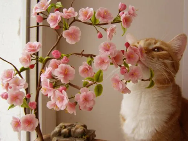 Sakura virágok hideg porcelán - Szeretem hobby - a legjobb mesterkurzusok az egész világon!