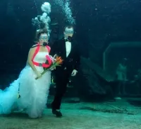 subacvatice de vacanță Decor nunta pentru extremiștii