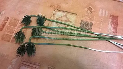 Дерево бонсай (бонсай) дерево бонсай