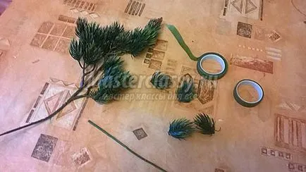 Дерево бонсай (дерево бонсай) дерево бонсай