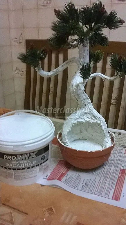 Дерево бонсай (бонсай) дерево бонсай