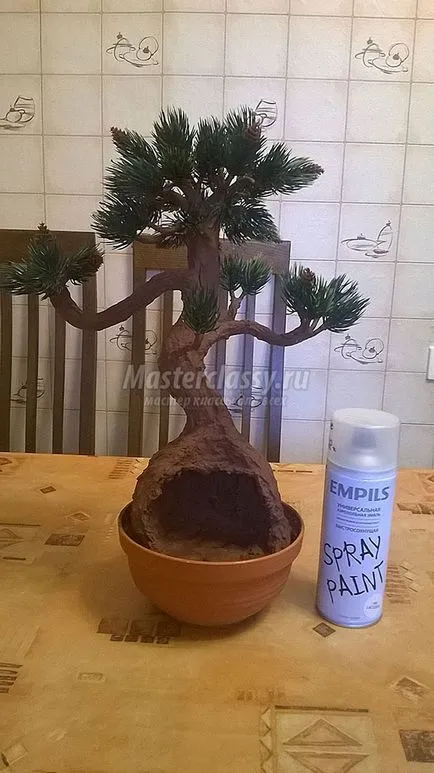 Дерево бонсай (як зробити своїми руками) дерево бонсай