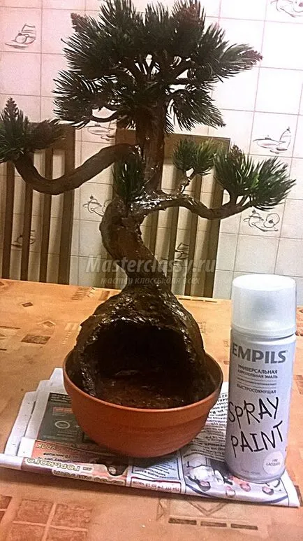 Дерево бонсай (бонсай) дерево бонсай