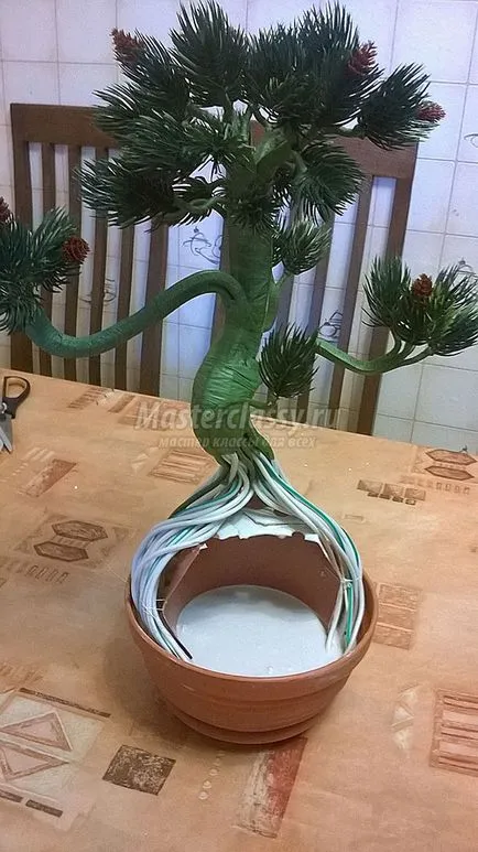 Дерево бонсай (Залишаємо сохнути Беремо) дерево бонсай