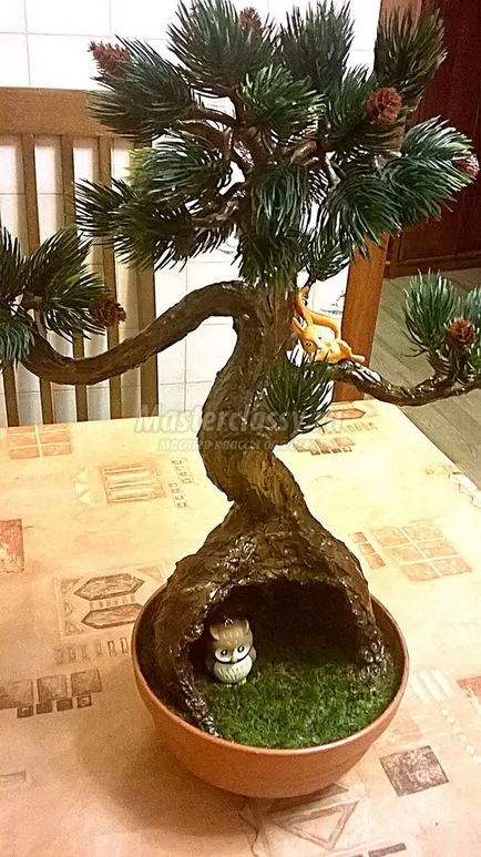 Дерево бонсай (бонсай) дерево бонсай