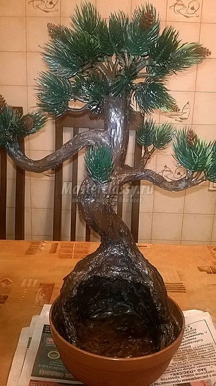 Дерево бонсай (як зробити своїми руками) дерево бонсай